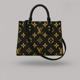 New Release ? Luxury Brand Handbag For Women - TLHB3404